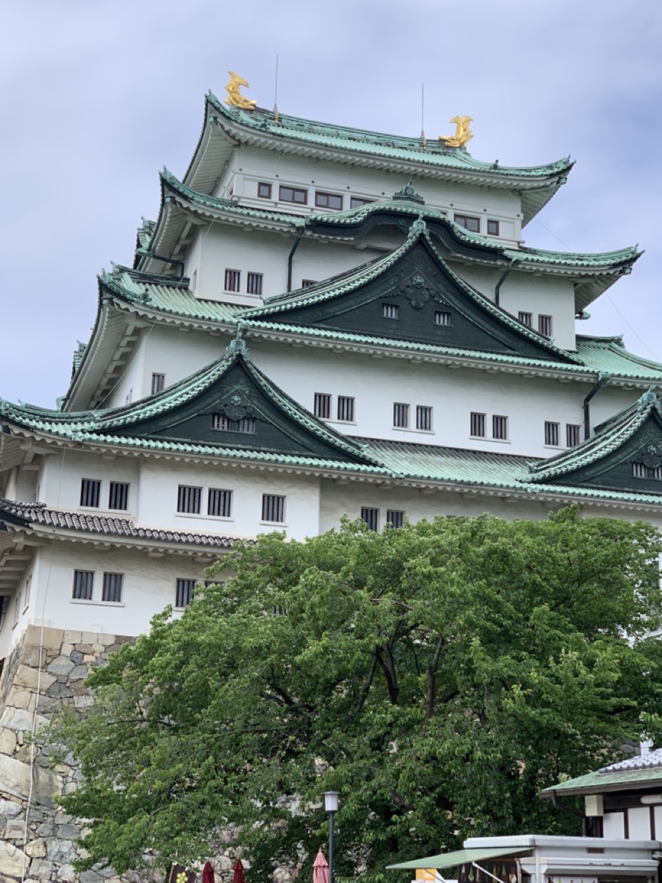 名古屋城の写真